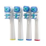 oral-B dual head 