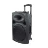 Boxă profesională AlphaOne P12 cadou un microfon wireless Boxă profesională AlphaOne P12 cadou un microfon wireless