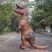Costum T-rex Dino 