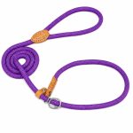   Lesă pentru câini Grand Line, rezistentă și reflectorizantă, pentru câini de talie mică, medie și mare, precum și pentru pisici – cu sistem anti-sufocare, 140 cm x 1,4 cm, violet