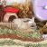 Toaletă și baie de nisip pentru hamsteri în formă de nor