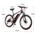 Frike Carbon Bicicletă electrică negru-rosu 250W autonomie 31-61km