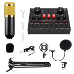 V8S Podcast, mixer karaoke cu microfon